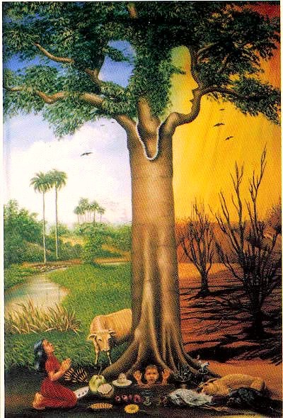 Священное дерево Сейба. Продолжение 33